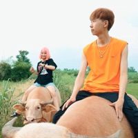 เมา (feat. บีบี๋) - Single - Dek Leiang Khway