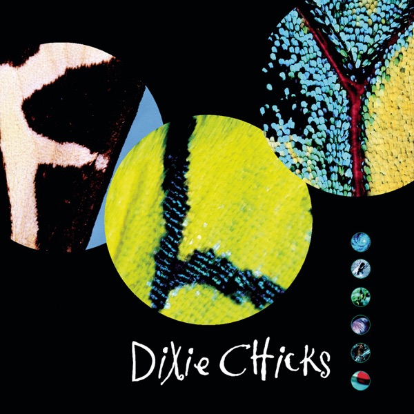 Cowboy Take Me Away by The Dixie Chicks on Go Country Now