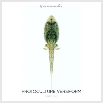 Pale Blue Dot by Protoculture song reviws