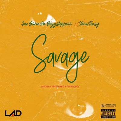 Savage (feat. Jae Bone & YarwTeasy) - Single