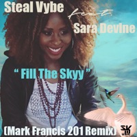 Fill the Skyy (feat. Sara Devine) - Single - Steal Vybe