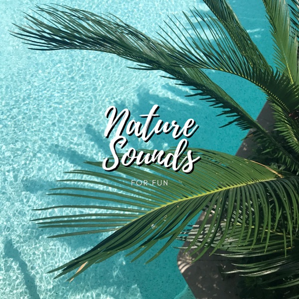 Nature Sounds For Fun