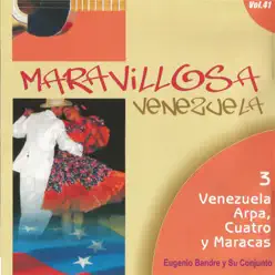Maravillosa Venezuela - Ángel Ávila