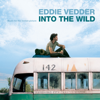 Eddie Vedder - Long Nights artwork