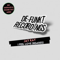 I Feel Love (Remixes) - Single - Jay Kay