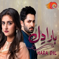 Hara Dil - Single - Papon & Nandini Srikar