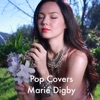 Pop Covers