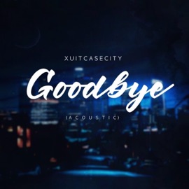 Goodbye (Acoustic) Xuitcasecity