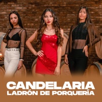 Ladrón de Porquería - Single - Candelaria
