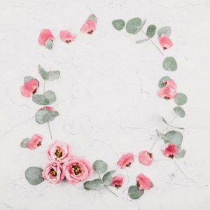 Flowers - Single