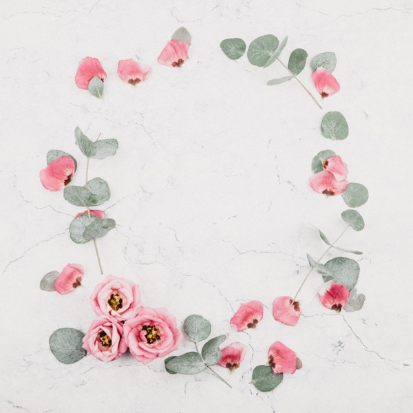 Flowers - Single
