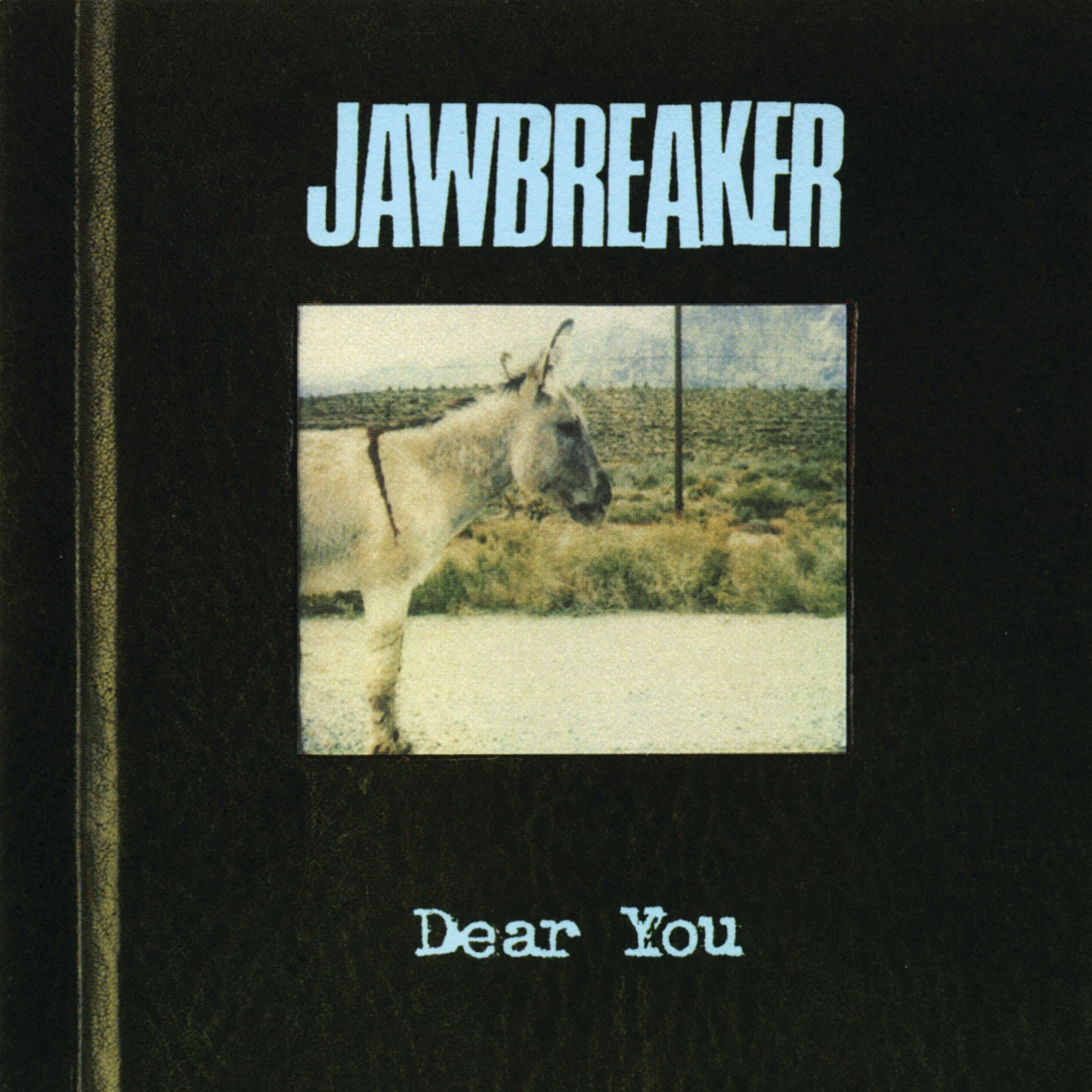 Jawbreaker – Dear You (1995) [iTunes Match M4A]