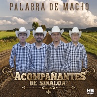 Palabra de Macho - EP - Acompañantes De Sinaloa