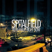 Spitalfield - Those Days You Felt Alive