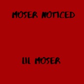 Moser Noticed artwork