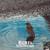 Bird Showers - Single - Sleep Miracle
