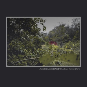 Shadows in the Dark - Single