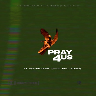 Pray 4 Us (feat. Goitse Levati) - Single