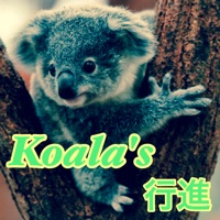 Koala's 行進 - Single - SHAKU