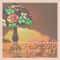 Liverpool Sound-blues organ- vol.2
