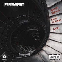 Permanent (feat. Endo) - Single - nencho mundial