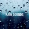 Light Rain - Rain Sounds Lab, Nature Sounds & Rain lyrics