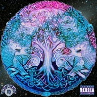 Two Lone Wolves - Single - EJ Virgo