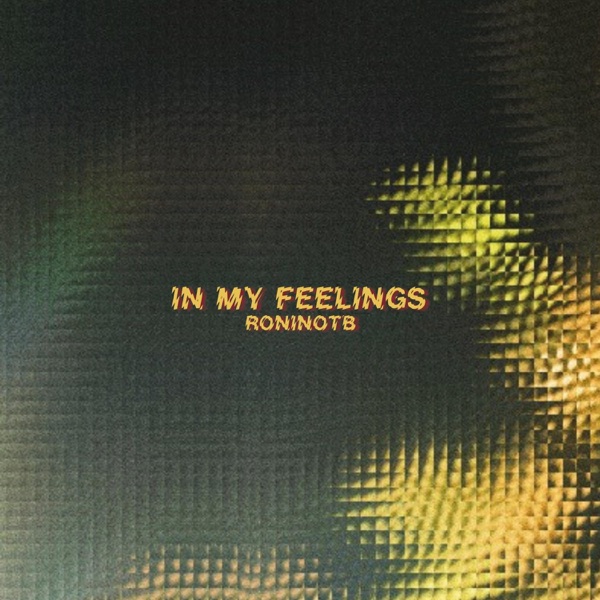 In My Feelings