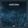 Going Dumb - Single