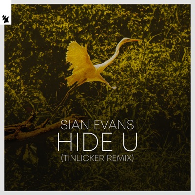 Hide U (Tinlicker Remix)-thumbnail