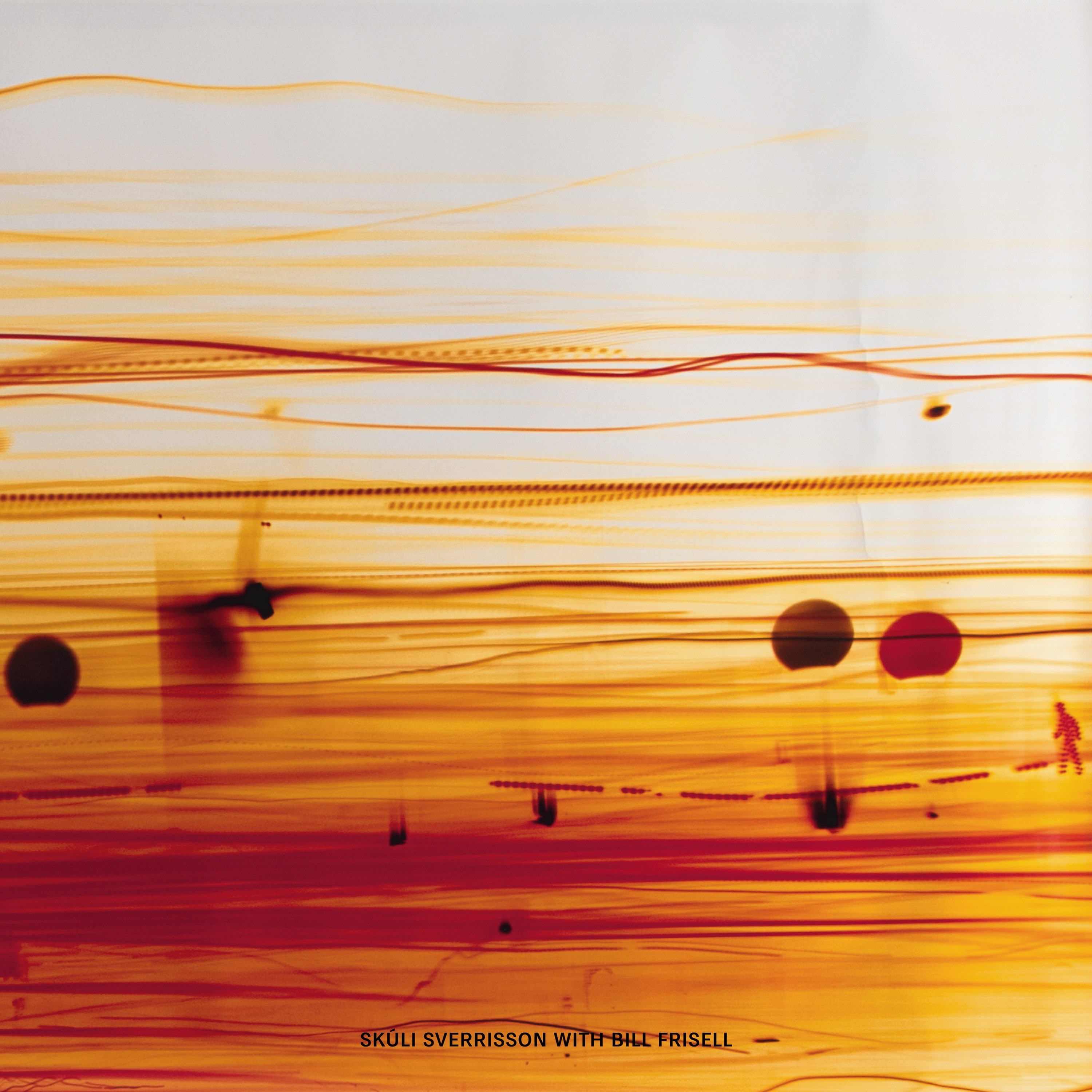 Strata (feat. Bill Frisell)