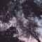 Kendal - The Night Heron lyrics