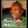 Imali - Single