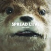 Spread Love (Paddington) [feat. DVNO] - Single