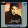 Hamid El Shari - Ouda artwork