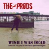 Wish I Was Dead (A Bitter Treatise on the Great British Seaside) - Single