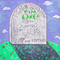 Dead From You (feat. Zumtru & Kintsugi) - Single - Tim Lake