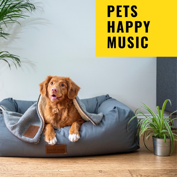 Pets Happy Music