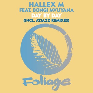 Day by Day (Atjazz Instrumental Remix)