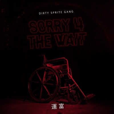 Sorry 4 the Wait - Single