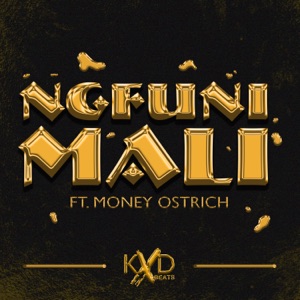 Ngfuni Mali (feat. Money Ostrich) - Single