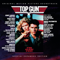 Danger Zone - Kenny Loggins Cover Art