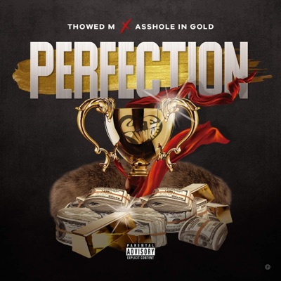 Perfection (feat. Asshole In Gold) - Single