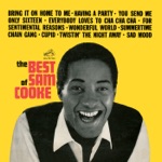 Sam Cooke - (What A) Wonderful World