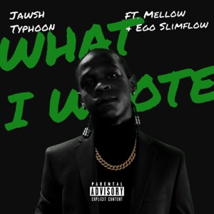What I Wrote (feat. Ego Slimflow & Mellow Don Picasso)