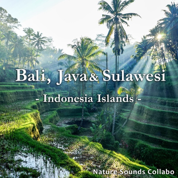 Bali, Java & Sulawesi -Indonesia Islands-