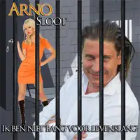 Ik Ben Niet Bang Voor Levenslang — Arno Sloot