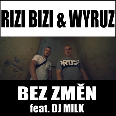 Bez Změn (feat. DJ Milk) - Single