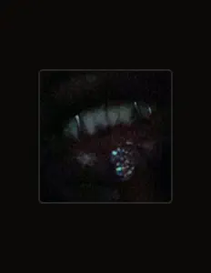 SHADXWEVILを聴いたり、ミュージックビデオを鑑賞したり、経歴やツアー日程などを確認したりしましょう！