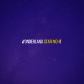 Star Night artwork